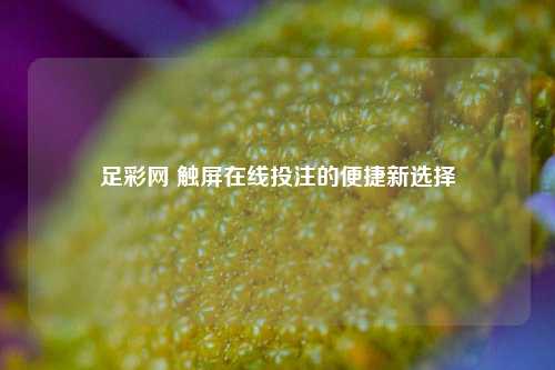 足彩网 触屏在线投注的便捷新选择